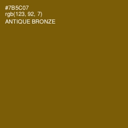 #7B5C07 - Antique Bronze Color Image
