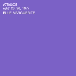 #7B60C5 - Blue Marguerite Color Image