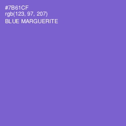 #7B61CF - Blue Marguerite Color Image