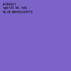 #7B63C7 - Blue Marguerite Color Image