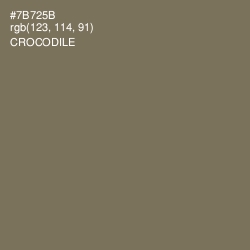 #7B725B - Crocodile Color Image