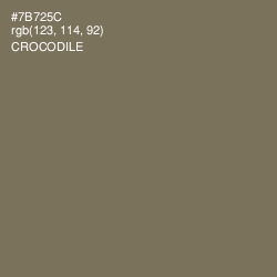 #7B725C - Crocodile Color Image