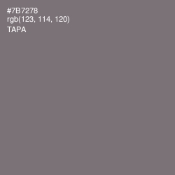 #7B7278 - Tapa Color Image