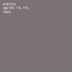 #7B7373 - Tapa Color Image