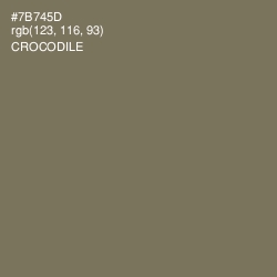 #7B745D - Crocodile Color Image