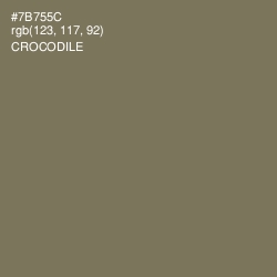 #7B755C - Crocodile Color Image