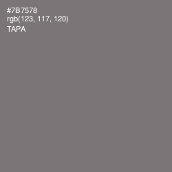 #7B7578 - Tapa Color Image