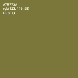 #7B773A - Pesto Color Image