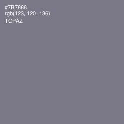 #7B7888 - Topaz Color Image