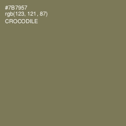 #7B7957 - Crocodile Color Image