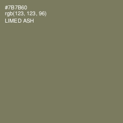 #7B7B60 - Limed Ash Color Image