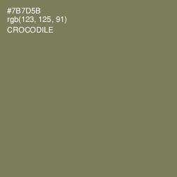 #7B7D5B - Crocodile Color Image