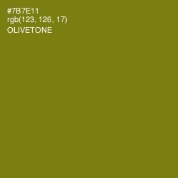#7B7E11 - Olivetone Color Image