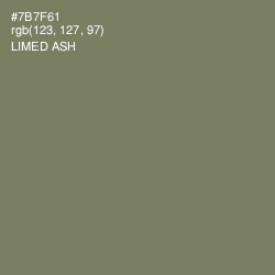 #7B7F61 - Limed Ash Color Image