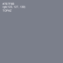 #7B7F8B - Topaz Color Image