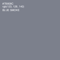 #7B808C - Blue Smoke Color Image