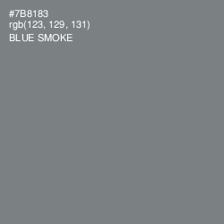 #7B8183 - Blue Smoke Color Image