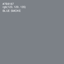 #7B8187 - Blue Smoke Color Image