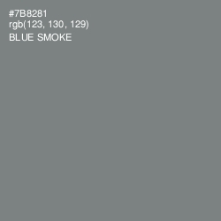 #7B8281 - Blue Smoke Color Image