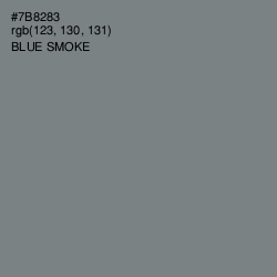 #7B8283 - Blue Smoke Color Image