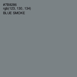 #7B8286 - Blue Smoke Color Image