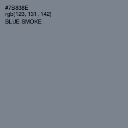 #7B838E - Blue Smoke Color Image