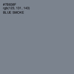 #7B838F - Blue Smoke Color Image