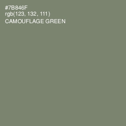 #7B846F - Camouflage Green Color Image