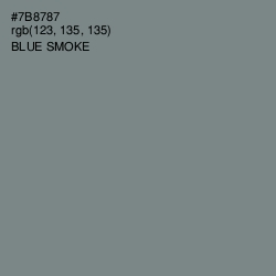 #7B8787 - Blue Smoke Color Image