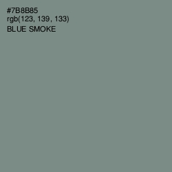#7B8B85 - Blue Smoke Color Image