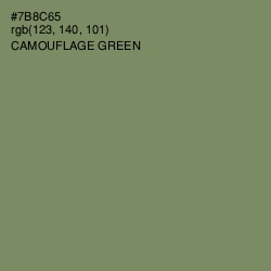 #7B8C65 - Camouflage Green Color Image