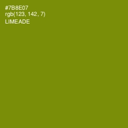 #7B8E07 - Limeade Color Image