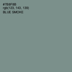 #7B8F8B - Blue Smoke Color Image