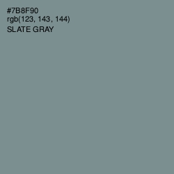 #7B8F90 - Slate Gray Color Image