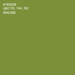 #7B9038 - Wasabi Color Image