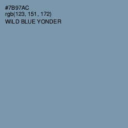 #7B97AC - Wild Blue Yonder Color Image