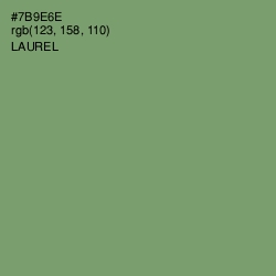 #7B9E6E - Laurel Color Image
