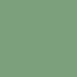 #7BA07B - Fern Color Image