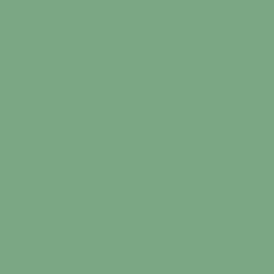 #7BA784 - Bay Leaf Color Image