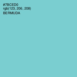 #7BCED0 - Bermuda Color Image
