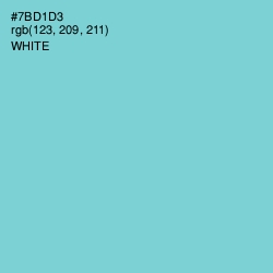 #7BD1D3 - Bermuda Color Image