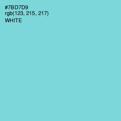 #7BD7D9 - Bermuda Color Image