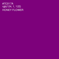 #7C017A - Honey Flower Color Image