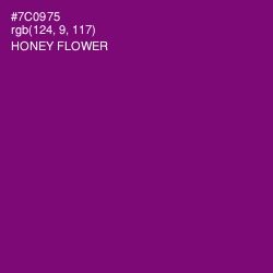 #7C0975 - Honey Flower Color Image