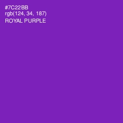 #7C22BB - Royal Purple Color Image