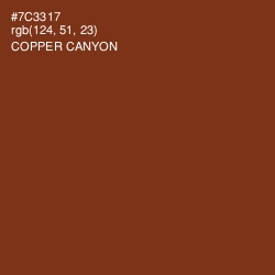 #7C3317 - Copper Canyon Color Image