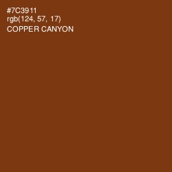#7C3911 - Copper Canyon Color Image