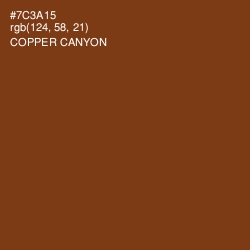 #7C3A15 - Copper Canyon Color Image