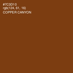 #7C3D10 - Copper Canyon Color Image