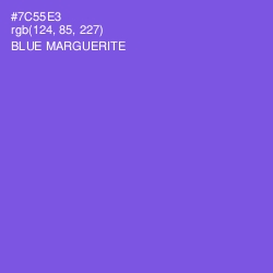 #7C55E3 - Blue Marguerite Color Image